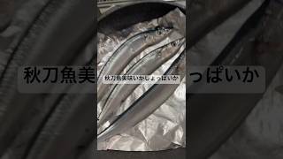 秋刀魚をいただいたので、焼いてみる。さんま 秋 魚 [upl. by Baptist]