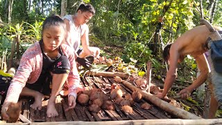 Life In The Philippines 🇵🇭Harvesting Coconut🥥 Copra Making On a Countryside 🇵🇭Farmers Life [upl. by Acinomahs105]