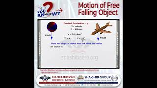 Free Falling Motion Explained  Newton’s Law Galileo’s Theory Air Resistance amp Gravitational Force [upl. by Nosirb]