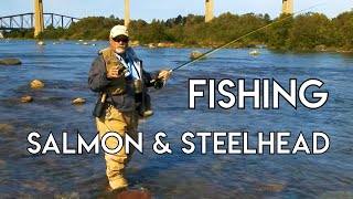 Salmon amp Steelhead Fishing in Northern Ontario [upl. by Margo]