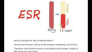 Lab3 Erythrocyte sedimentation rate ESR [upl. by Hanah512]