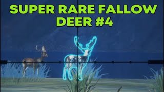 Super Rare Fallow Deer 4 Call of the Wild theHunter [upl. by Ydospahr]