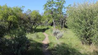 Black Canyon Uplands Trail [upl. by Harrus]