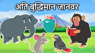 कौनसा जानवर अति बुद्धिमान है  Super Intelligent Animals In Hindi  Dr Binocs Show [upl. by Aivataj]