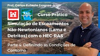 Simulação de Escoamento de Fluidos NãoNewtoniano Parte 4 Definindo as Condições de Contorno [upl. by Tekcirk]