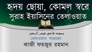 হৃদয় ছোয়া কোমল স্বরে সুরাহ ইয়াসিনের তেলাওয়াত  সুরা ইয়াসিন বাংলা অনুবাদ সহ [upl. by Divadnoj651]