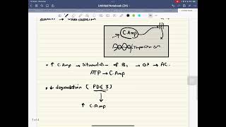 Milrinone Mechanism of action [upl. by Nalro314]