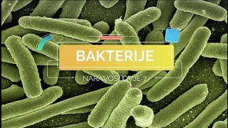 Bakterije NAR7 [upl. by Yecam405]