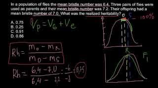 How to calculate realized heritability [upl. by Viki136]