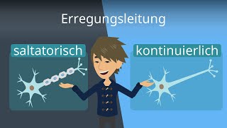 Erregungsleitung im Axon  Saltatorisch und kontinuierlich [upl. by Lokin]