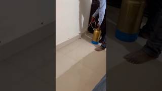 termites termitescontrol housecleaning homecleaning trending ytshorts viralvideo explore yt [upl. by Atiuqihc]