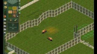 Zoo Tycoon 1 CC Creating Triceratops [upl. by Ivon]