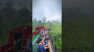 මේකනම් එක පාරක් හරි යන්නම ඕන ගමනක් 😮🙈🚂 Calypso Train Ride 🇱🇰 [upl. by Sanoj]