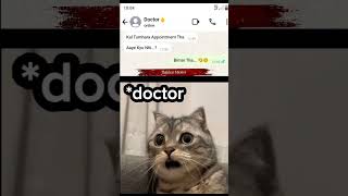 Shocking but true calmdown funny funnyshorts memes cat shortsfeed shorts [upl. by Hepza918]