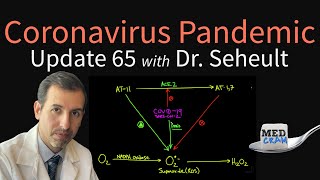 Coronavirus Pandemic Update 65 COVID19 and Oxidative Stress Prevention amp Risk Factors [upl. by Nyltyak]