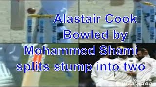 Alastair Cooks Bowled by Mohammed Shami splits stump into two  India Vs England  TRAILER [upl. by Anirtac]