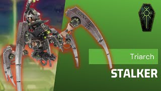 7 Important Questions Before Using The Necrons Triarch Stalker [upl. by Pomfrey]