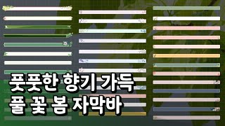 자막바 풋풋한 향기 가득 풀 꽃 봄 자막바  png [upl. by Fin]