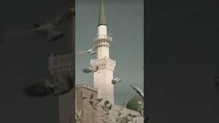 Mustafa mujtaba khatamul ambiya youtubeshorts beautifulnaat islamicmusic madina oldmadinapic [upl. by Yrekcaz]