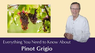 Pinot Grigio Everything You Need to Know  Including Suggested Food Pairings [upl. by Ontine956]