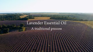 Lavender Essential Oil  A traditional process  BMPCC6K  Mavic 2 Pro [upl. by Ahcatan]