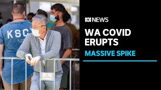 WA has recorded a massive spike in COVID19 cases with 643 new local infections reported ABC News [upl. by Thordis]