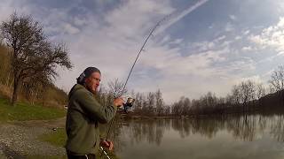 Karpfenangeln Terler Teich  Carp fishing  Steiermark  Ein Stör als Beifang [upl. by Light]