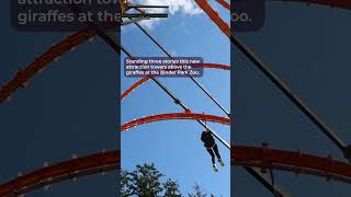 New zip line and ropes course opens at Michigan zoo [upl. by Marylinda]