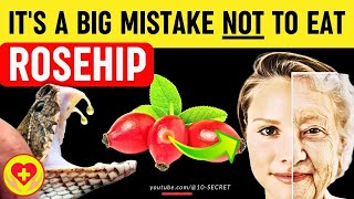 Rosehip Benefits Harms Risks Exploring Properties Side Effects and Health Recipes [upl. by Adabel]