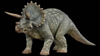 Triceratops Horridus Sounds JP [upl. by Rey104]