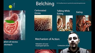 Belching  Which Diseases Cause Belching [upl. by Atinna]