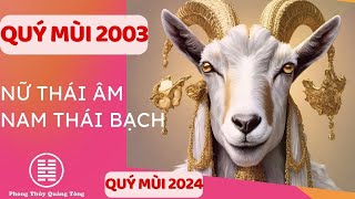 Quý Mùi 2003 Tử vi Quý Mùi 2024 sao hạn Nam mạng nữ mạng Quý mùi 2003 mệnh gì [upl. by Agneta929]