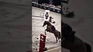 horse horseplay horsesports equestrian horseshow horseracing edit [upl. by Billi]