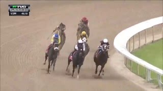 RACE REPLAY 2016 Apple Blossom Handicap [upl. by Epillihp]