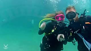 Deerfield Beach Underwater Pier Cleanup 2024 [upl. by Tisha]