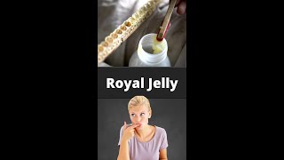 Royal Jelly tamil science factsintamil [upl. by Aivatahs]