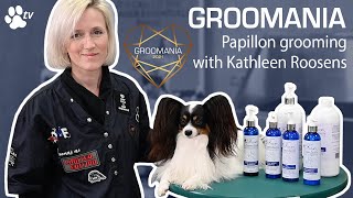 Papillon Grooming with Kathleen Roosens  Groomania 2021 Grooming Demonstration [upl. by Llertnek]