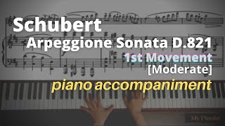 Schubert  Arpeggione Sonata D821 1st Mov Piano Accompaniment Moderate [upl. by Anelrihs898]