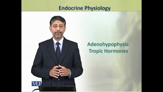 Adenohypophysis Tropic Hormones  Physiology Theory  ZOO519TTopic048 [upl. by Atikahs]