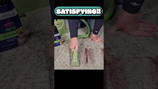 Which Carpet Cleaning Solution is The Best [upl. by Gayel]