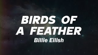 Billie Eilish  BIRDS OF A FEATHER Lyrics [upl. by Noj44]