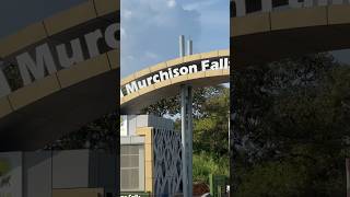 Travel with me through Murchison falls national park travel shortvideo  ugandantourism [upl. by Ecneret621]