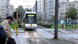 Antwerpen Hermelijn Low Floor Trams [upl. by Astred]