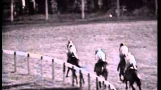 1964 Cheltenham Gold Cup Arkle and Mill Houseavi [upl. by Nefen]