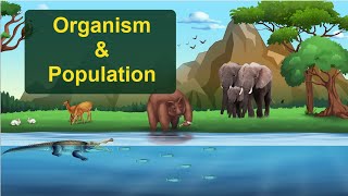 Organisms and Populations  NCERT Chapter Explained Class 12 Biology [upl. by Lindemann]