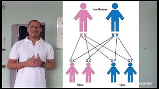 Los cromosomas su estructura y tipos de cromosomas  gehomar unda [upl. by Llerrut]