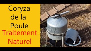 Coryza de la Poule Traitement Naturel [upl. by Neelhtakyram]