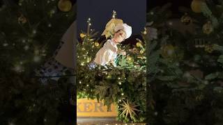 Weihnachtsmarkt in Dresden Deutschland🇩🇪 travel germany weihnachtsmarkt dresden [upl. by Allak]