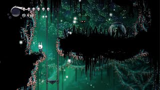 Hollow Knight Larva Jardines de la Reina [upl. by Terrye]