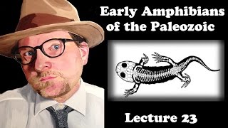 Lecture 23 Early Amphibians of the Paleozoic [upl. by Nialb]